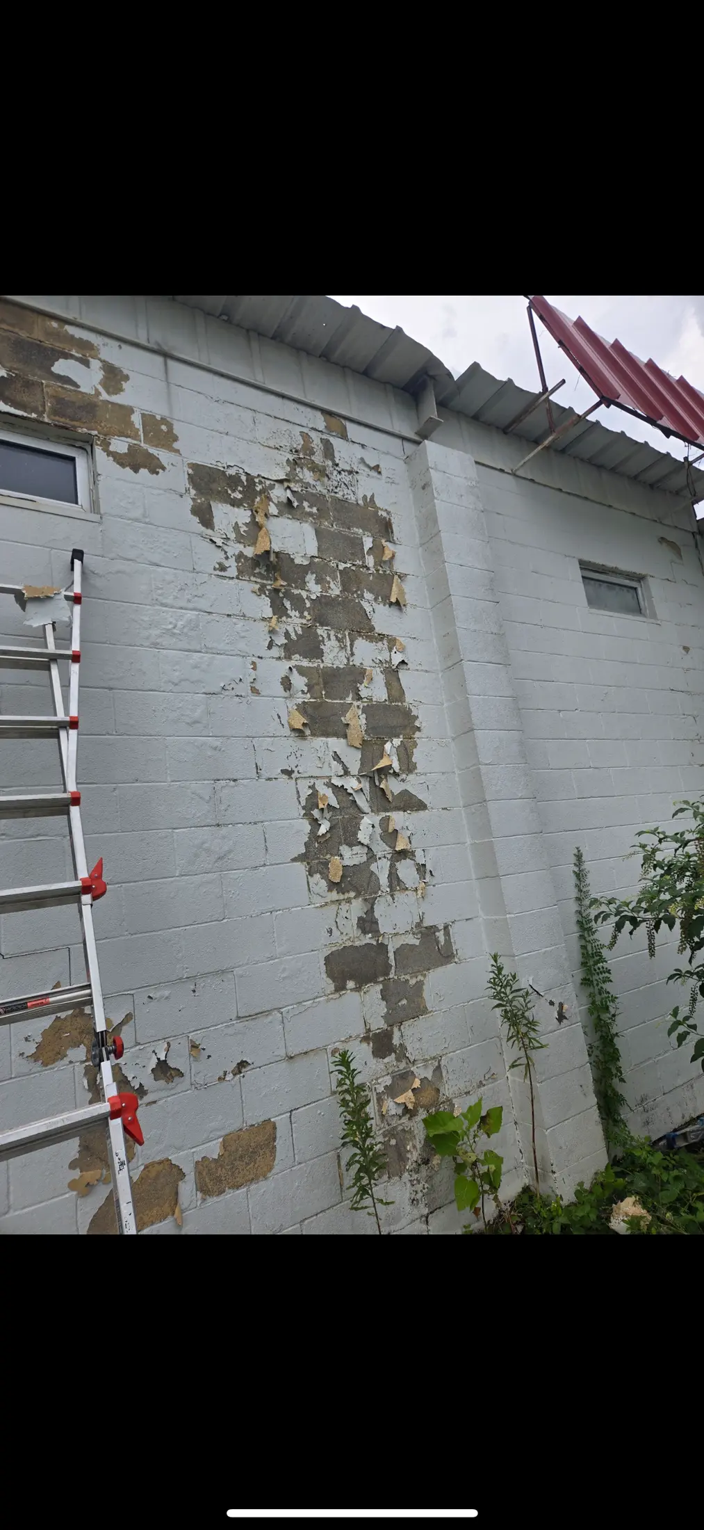 Exterior white-painted block wall with peeling paint and a ladder.