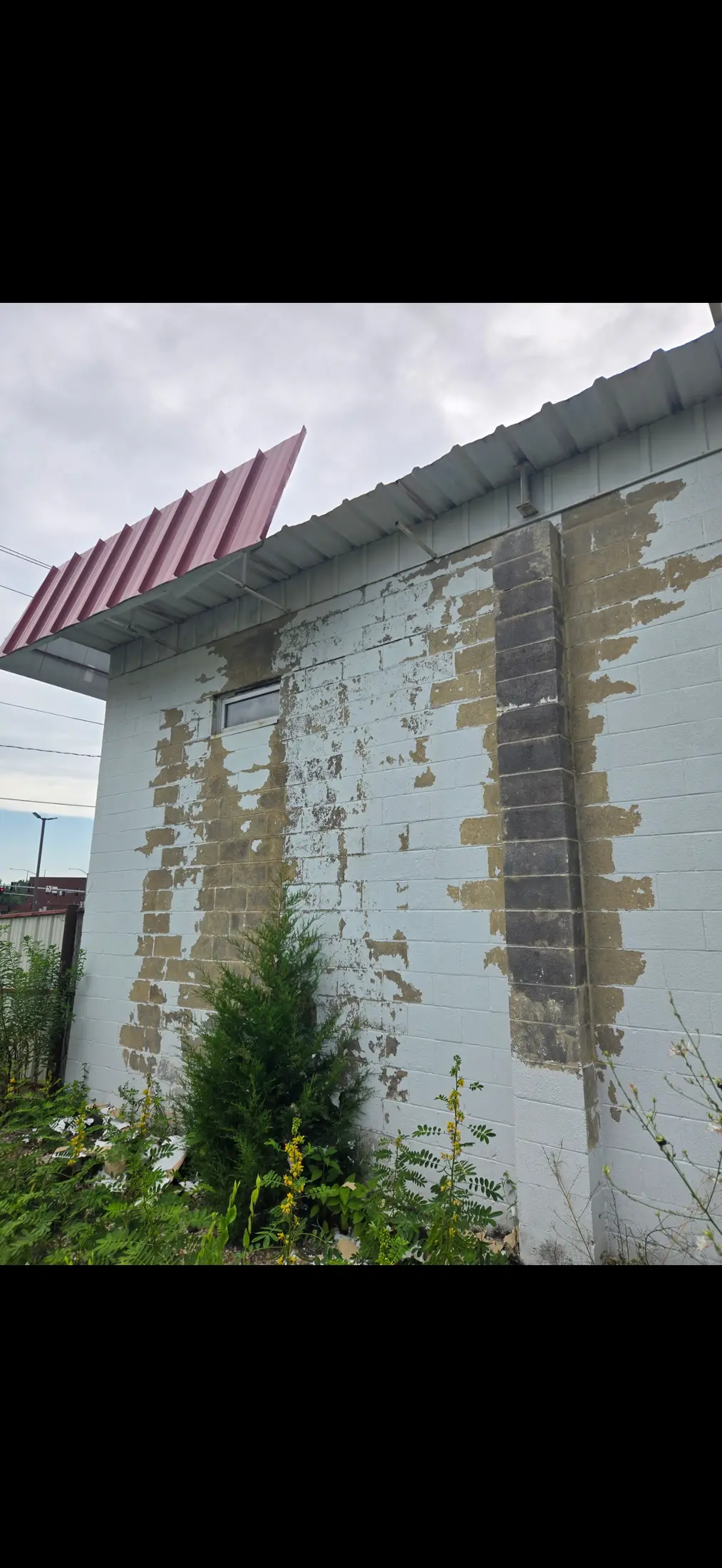Exterior white-painted block wall with peeling paint beside plants.